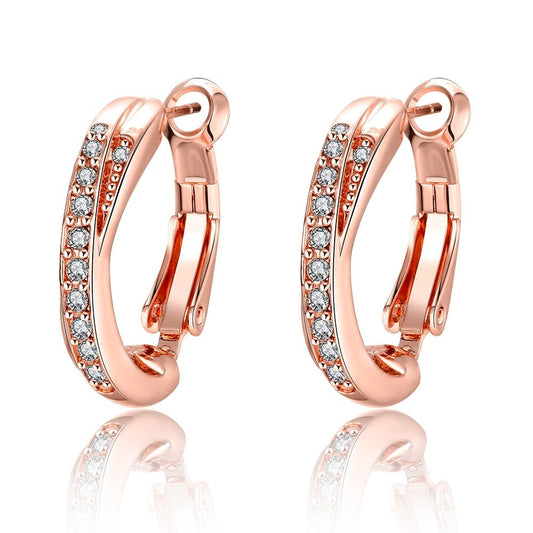 Duo Intertwined Twisted Earrings Made with Swarovski Elements, Earring, ALILY , ALILY   jewelryjewelry deals, swarovski crystal jewelry, groupon jewelry,, jewelry for mom, 